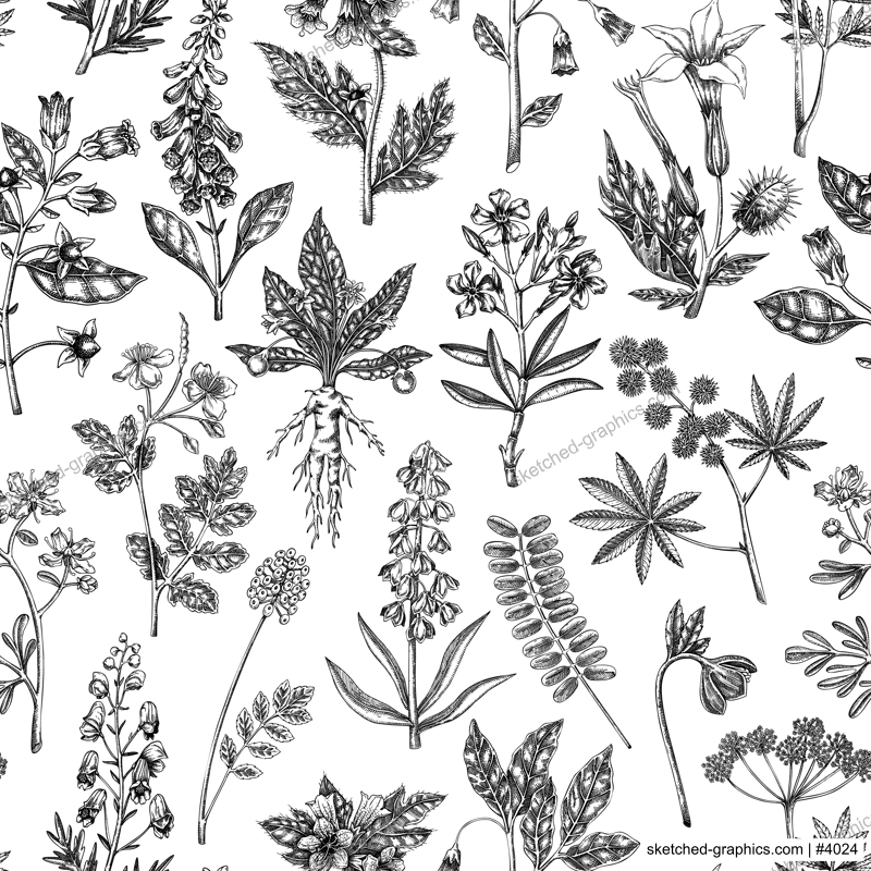 Witch herbs seamless pattern. Poisonous plants background. Apothecary herbs hand-drawn vector illustration. Bohemian design. NOT AI generated