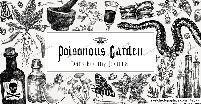 Witchcraft background. Halloween frame design. Bohemian hand drawn vector illustration. Witch herbs, poisonous plants, magic ingredients sketches. NOT AI generated