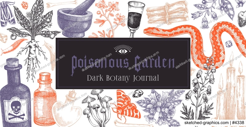 Witchcraft background. Halloween frame design. Bohemian hand drawn vector illustration. Witch herbs, poisonous plants, magic ingredients sketches. NOT AI generated