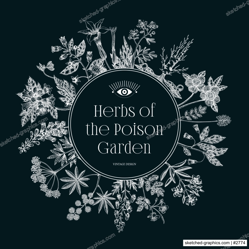 Witchcraft frame design. Poisonous plants hand drawn vector illustration on chalkboard. Witch herbs apothecary vintage card, invitation, print. NOT AI generated