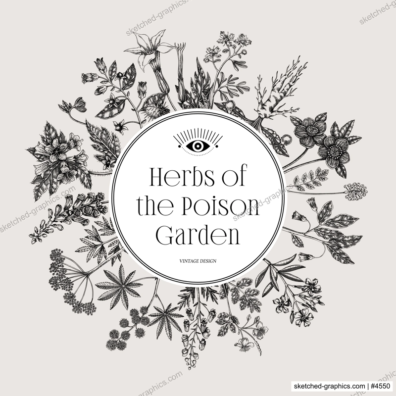 Witchcraft frame design. Poisonous plants hand drawn vector illustration. Witch herbs apothecary vintage card, invitation, print. NOT AI generated