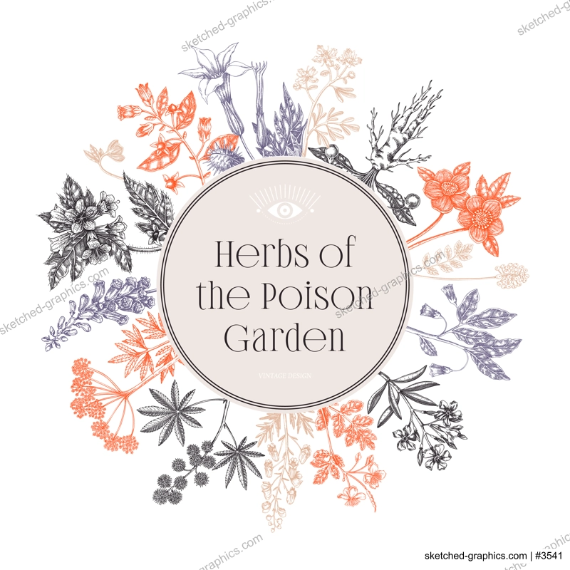 Witchcraft frame design. Poisonous plants hand drawn vector illustration. Witch herbs apothecary vintage card, invitation, print. NOT AI generated
