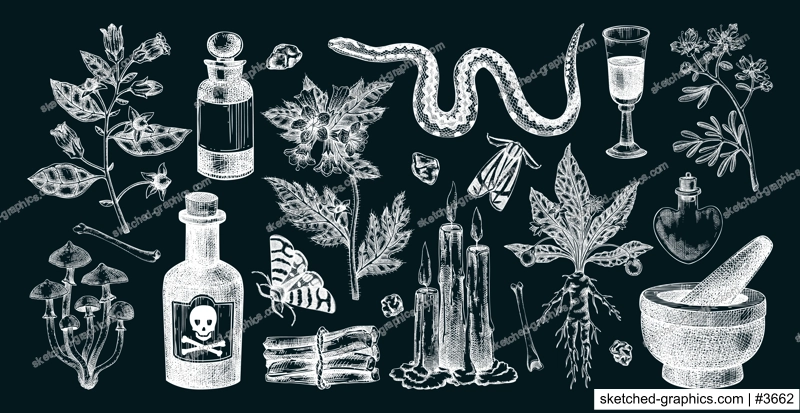 Witchcraft hand drawn vector illustrations. Bohemian design elements. Witch herbs, poisonous plants, magic ingredients sketches. NOT AI generated