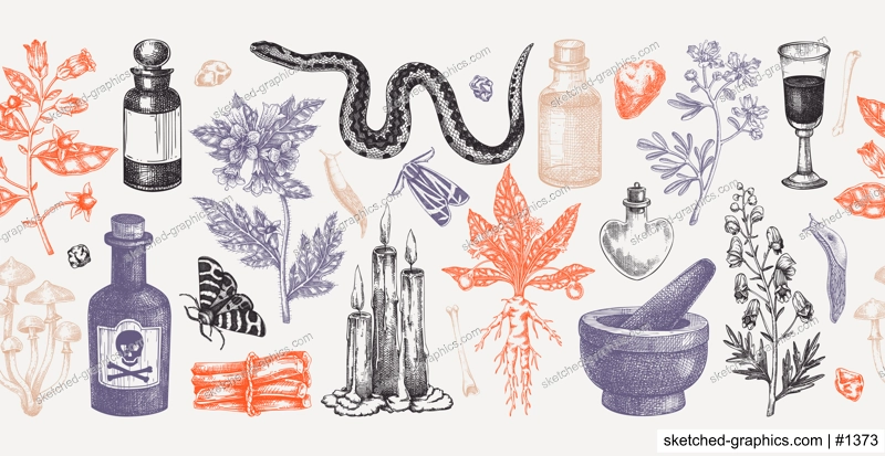 Witchcraft hand drawn vector illustrations. Bohemian seamless ribbon. Halloween background. Witch herbs, poisonous plants, magic ingredients sketches. NOT AI generated