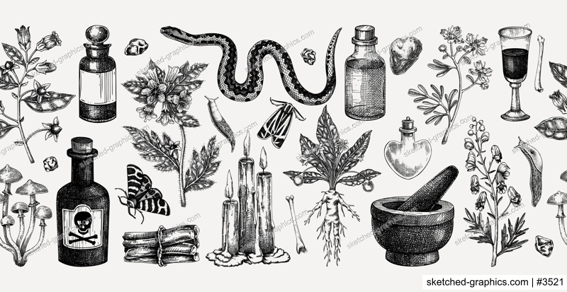 Witchcraft hand drawn vector illustrations. Bohemian seamless ribbon. Halloween background. Witch herbs, poisonous plants, magic ingredients sketches. NOT AI generated