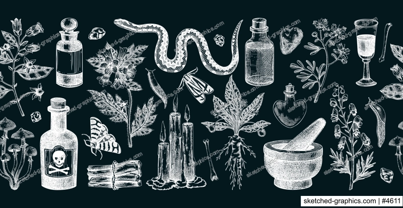 Witchcraft hand drawn vector illustrations. Bohemian seamless ribbon. Halloween background. Witch herbs, poisonous plants, magic ingredients sketches on chalkboard. NOT AI generated