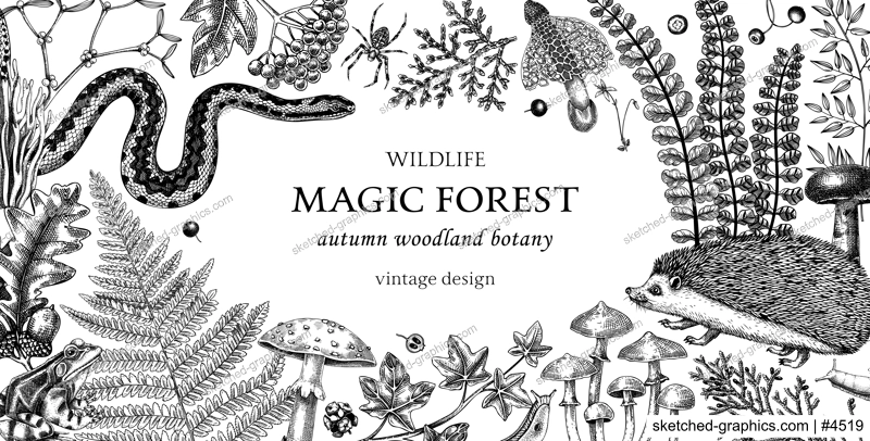 Vintage frame with woodland animals, ferns, mushrooms, fall leaves, berries and autumn plant sketches. Botanical design template in engraved style. Hand drawn autumn forest background for print. 