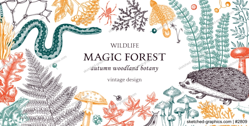 Vintage frame with woodland animals, ferns, mushrooms, fall leaves, berries and autumn plant sketches. Botanical design template in color. Hand drawn autumn forest background for print. 