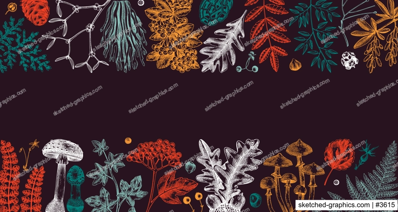 Colorful banner with ferns, mushrooms, fall leaves and autumn plant sketches. Vintage botanical design template in engraved style. Hand drawn forest background for print. Woodland vector illustration