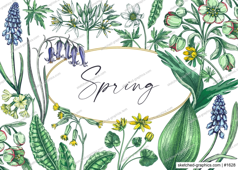 Realistic floral background. Woodland wild flower sketches. Hand-drawn vector illustrations. Botanical design in color. Wildflowers frame. 