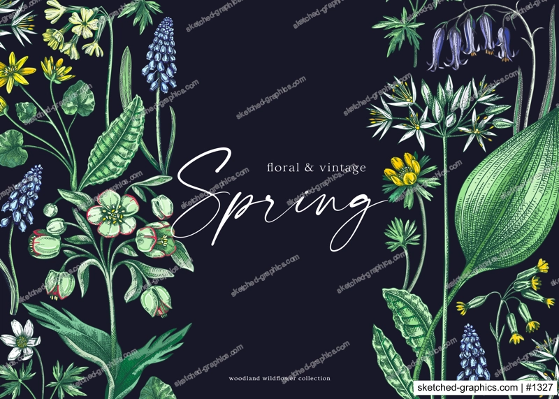 Realistic floral background. Woodland wild flower sketches. Hand-drawn vector illustrations. Botanical design in color. Wildflowers frame.