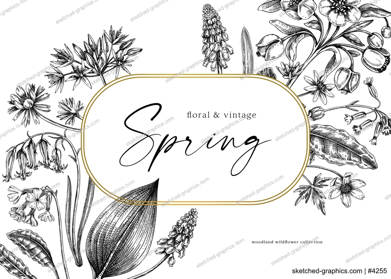 Delicate spring frame template. Hand drawn vector illustration. Woodland wild flower sketches. Floral background. Wildflower card, invitation design.