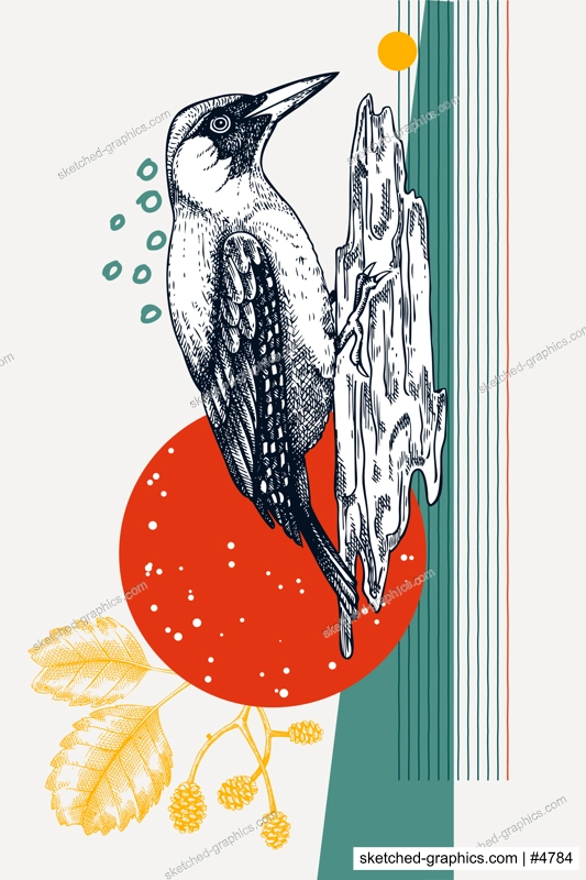 Hand drawn woodpecker vector illustration. Bird on tree sketch. Collage style poster design. NOT AI generated