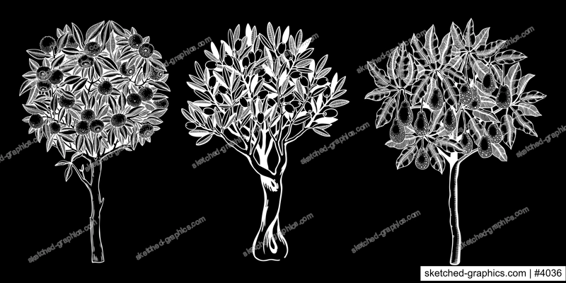 Sketched trees set with decorative fruit, leaves and branches in engraving style. Hand-drawn yuzu, avocado and olive illustrations collection. Botanical drawings on chalkboard