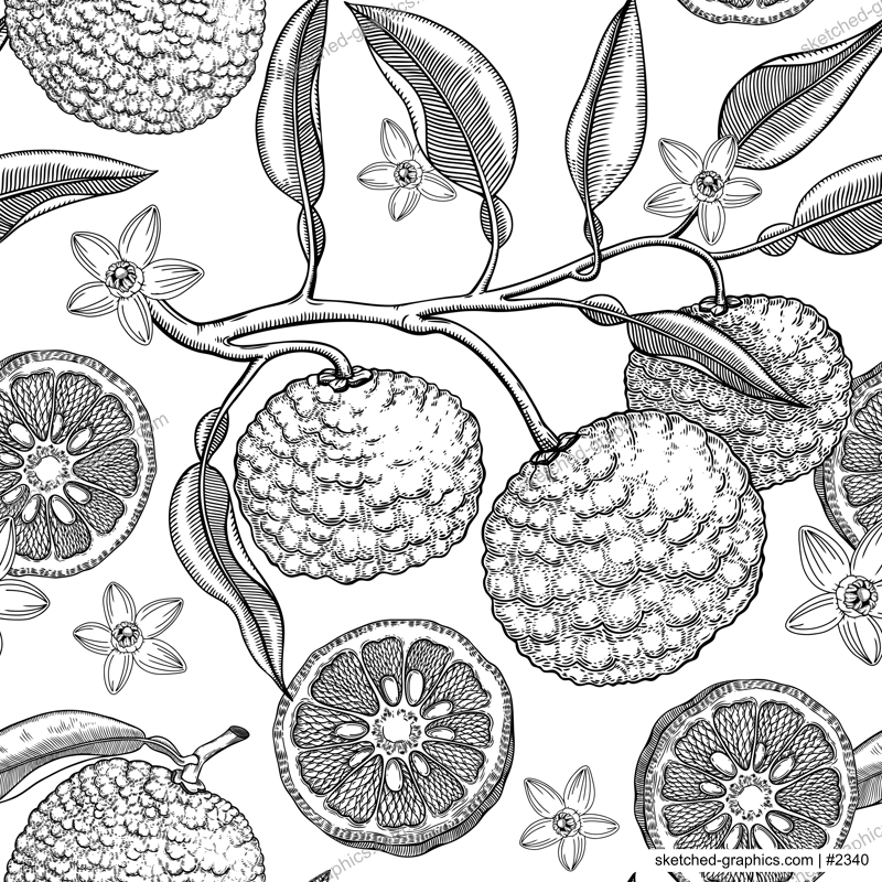 Sketched yuzu background with decorative fruit, leaves, branches, and flowers in engraving style. Hand-drawn citrus plant seamless pattern. Asian citron botanical design for print. 