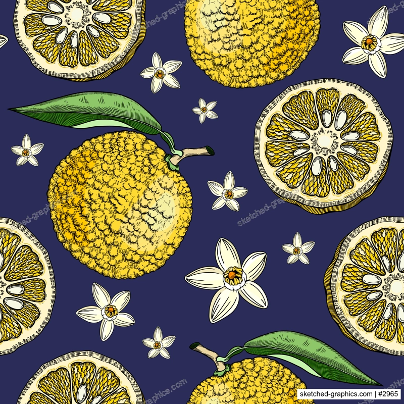 Sketched yuzu background with decorative fruit, leaves, and flowers in engraving style. Hand-drawn citrus plant seamless pattern in color. Asian citron botanical design for print. 