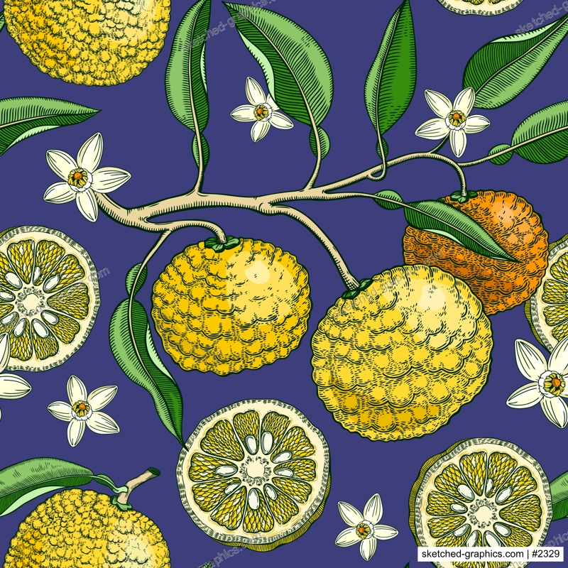 Hand drawn yuzu background design. Vintage citrus branches, flowers, leaves whole fruit, cut half piece sketches. Seamless healthy food pattern. Exotic plant illustration for print