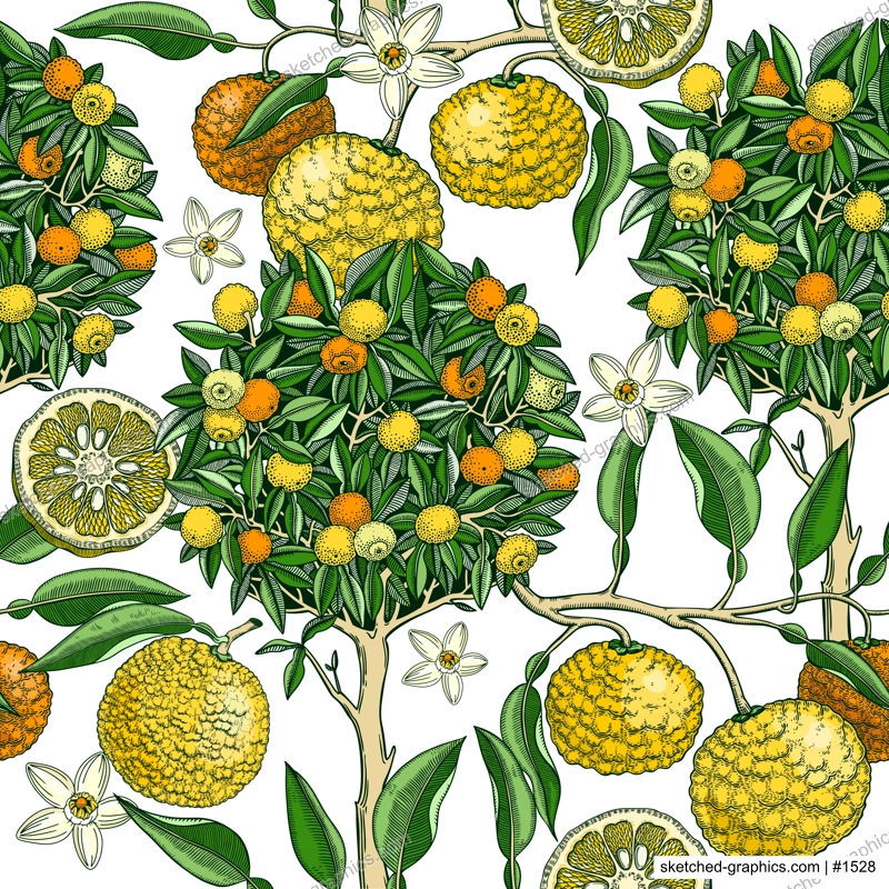 Hand-drawn yuzu tree background design in color. Vintage citrus branches, flowers, leaves whole fruit, cut half-piece sketches. Seamless healthy food pattern. Exotic plant illustration for print