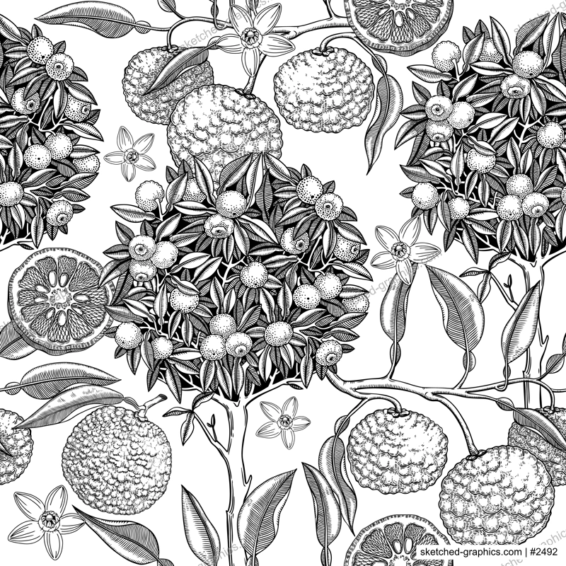 Hand-drawn yuzu tree background design. Vintage citrus branches, flowers, leaves whole fruit, cut half-piece sketches. Seamless healthy food pattern. Exotic plant illustration for print