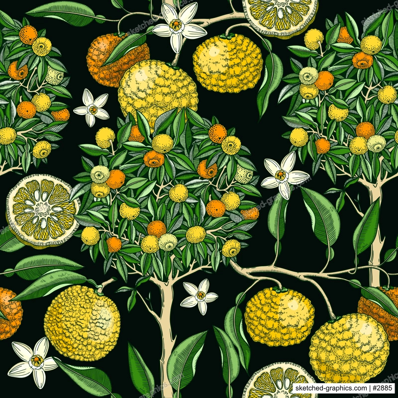 Hand-drawn yuzu tree background design in color. Vintage citrus branches, flowers, leaves whole fruit, cut half-piece sketches. Seamless healthy food pattern. Exotic plant illustration for print